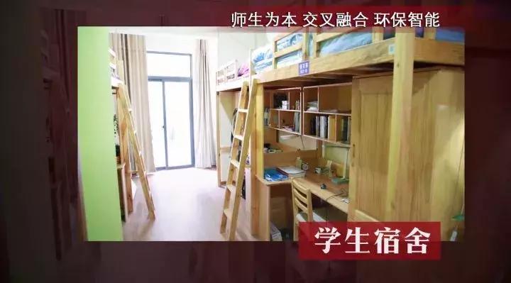 大学宿舍是个好地方,大学宿舍精致到什么程度