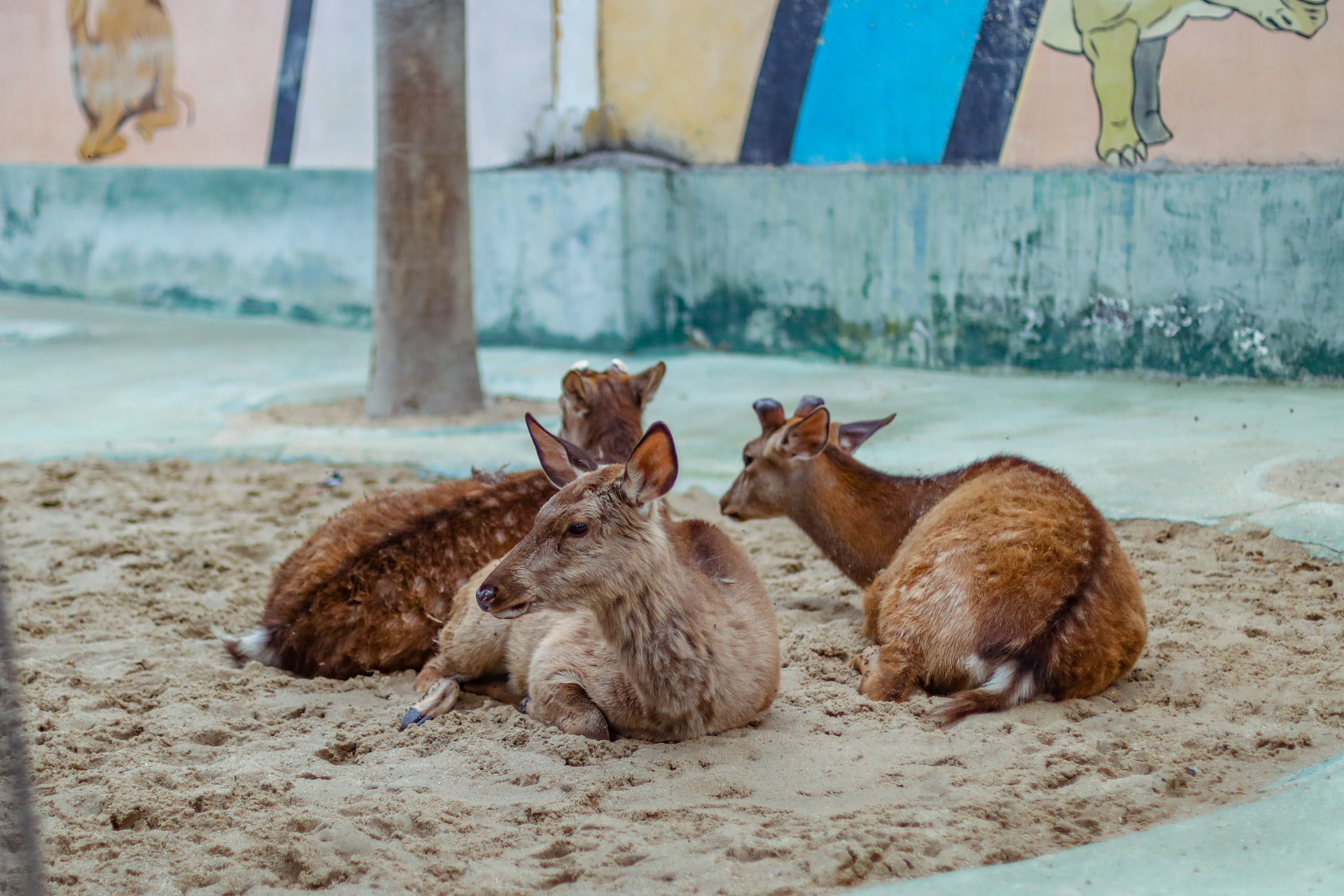 景点打卡东莞隐贤山庄,暑假东莞亲子游玩好去处隐贤山庄