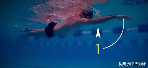 自由泳划水时头往另一边偏,自由泳标准一分钟划水次数