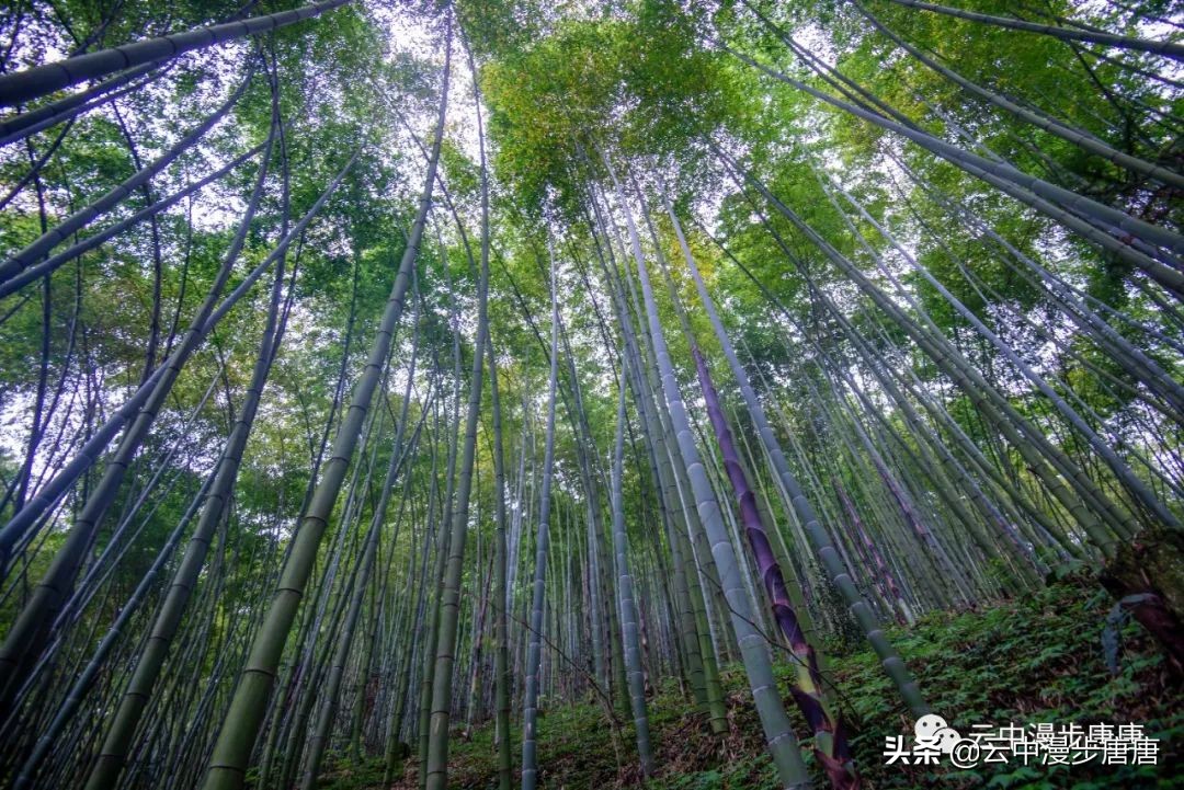 什邡蓥华大峡谷漂流还有什么玩的,九龙溪漂流和蓥华大峡谷漂流