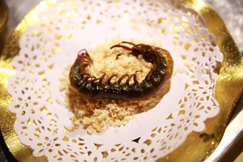 蜈蚣如何养殖见效最快,蜈蚣怎么养才能养活