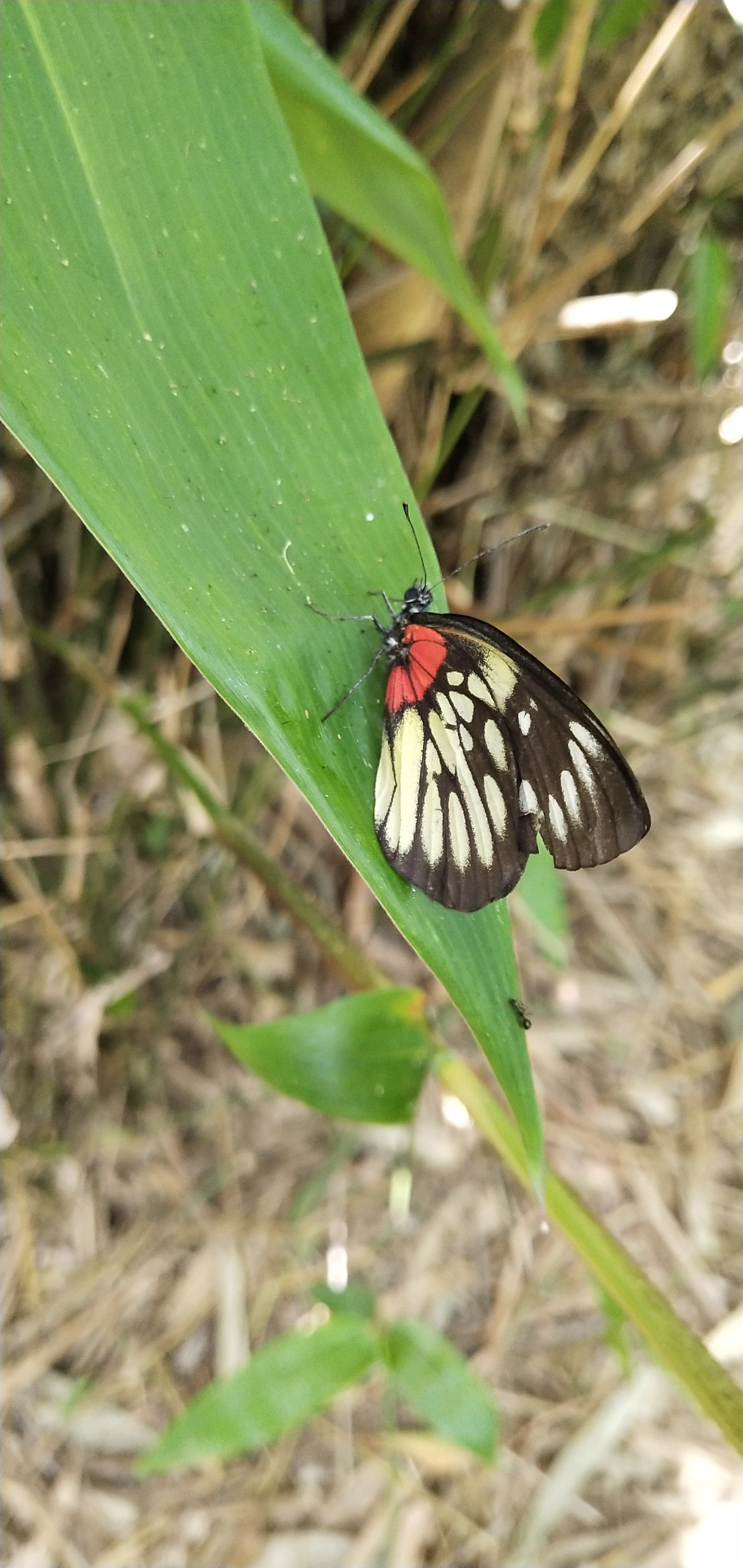 韶关旧貌与新貌,韶关生态环境与治理