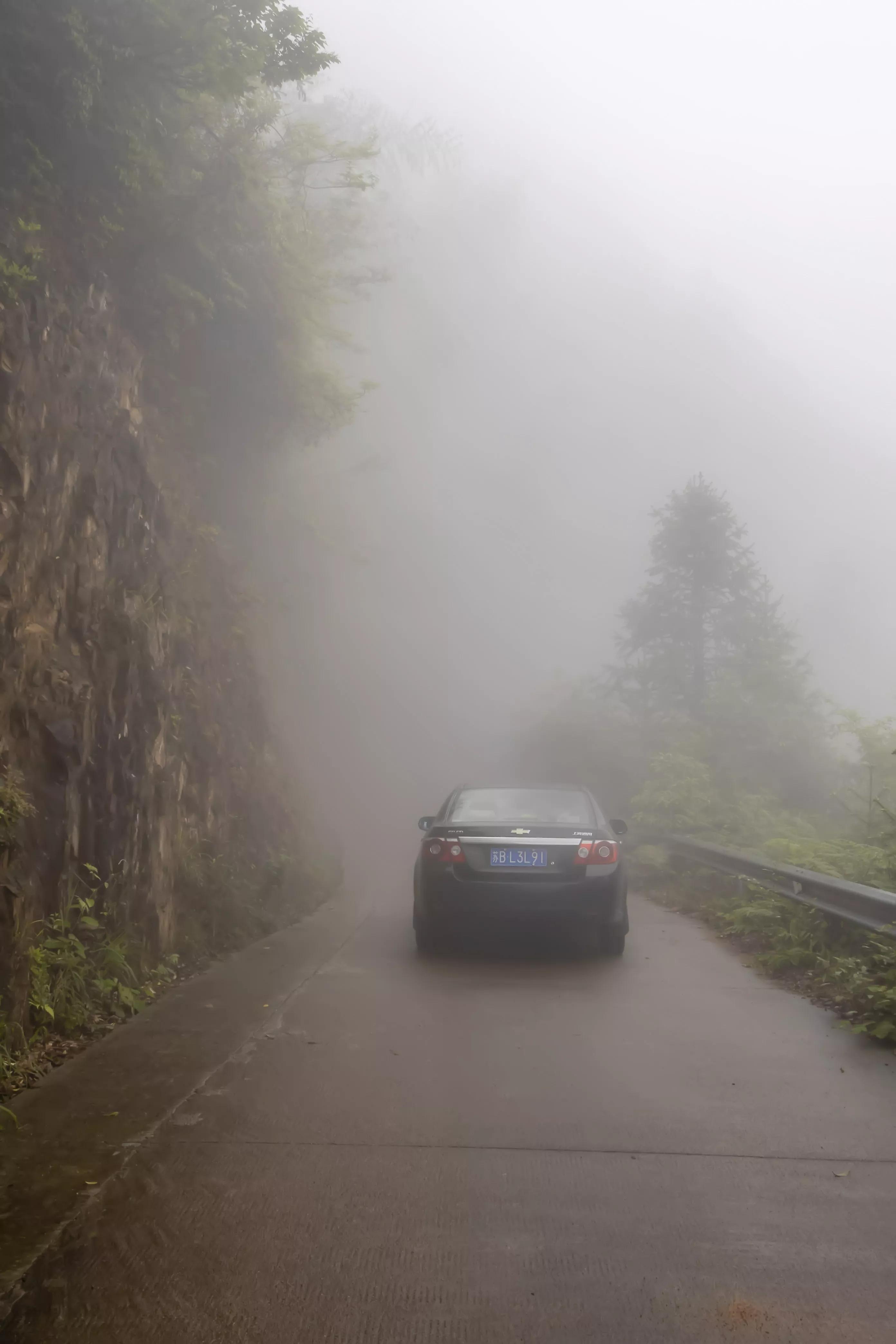 丽水遂昌深山秘境,遂昌姚岭山路