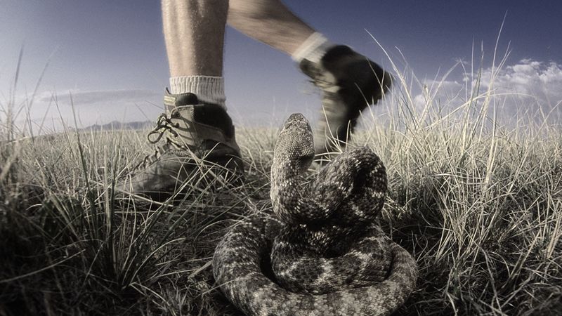 野外自救游泳教程,野外游泳救生技巧