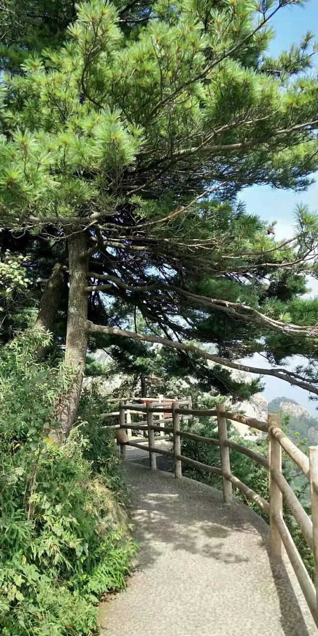 徒步老君山,徒步老君山教学