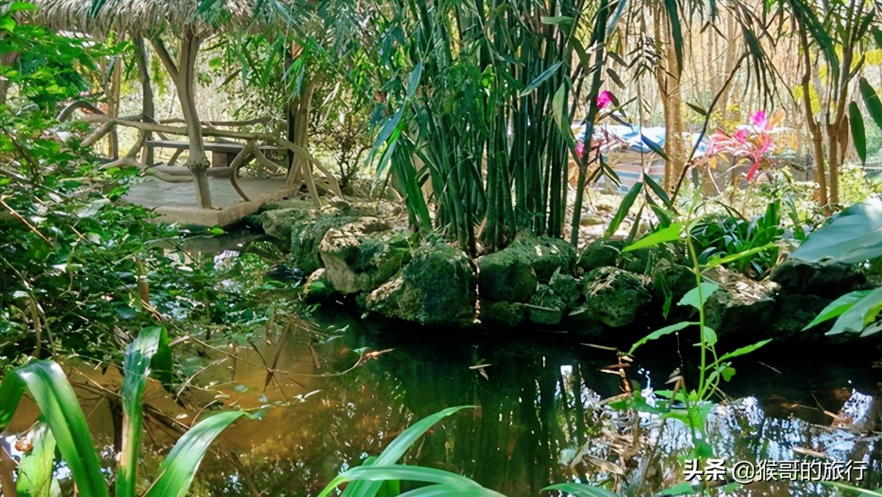 这才是海南最美的乡村,海南桃花源
