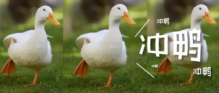 ket和pet的备考技巧,ket到pet如何备考