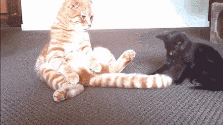 男人怎样测试女人的价值,评估男人的六个标准