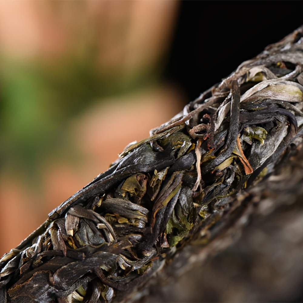 老班章、冰岛、易武三大茶系中，老茶客为何喜欢收藏易武茶？