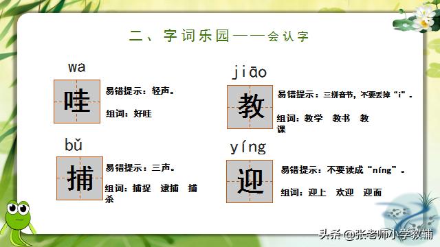 小蝌蚪找妈妈课程分享ppt,小蝌蚪找妈妈ppt教师讲解视频