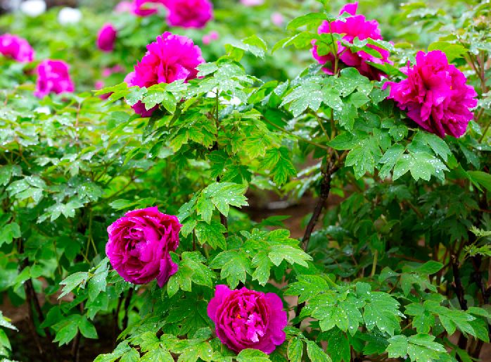 家在北仑,我有一个家北仑