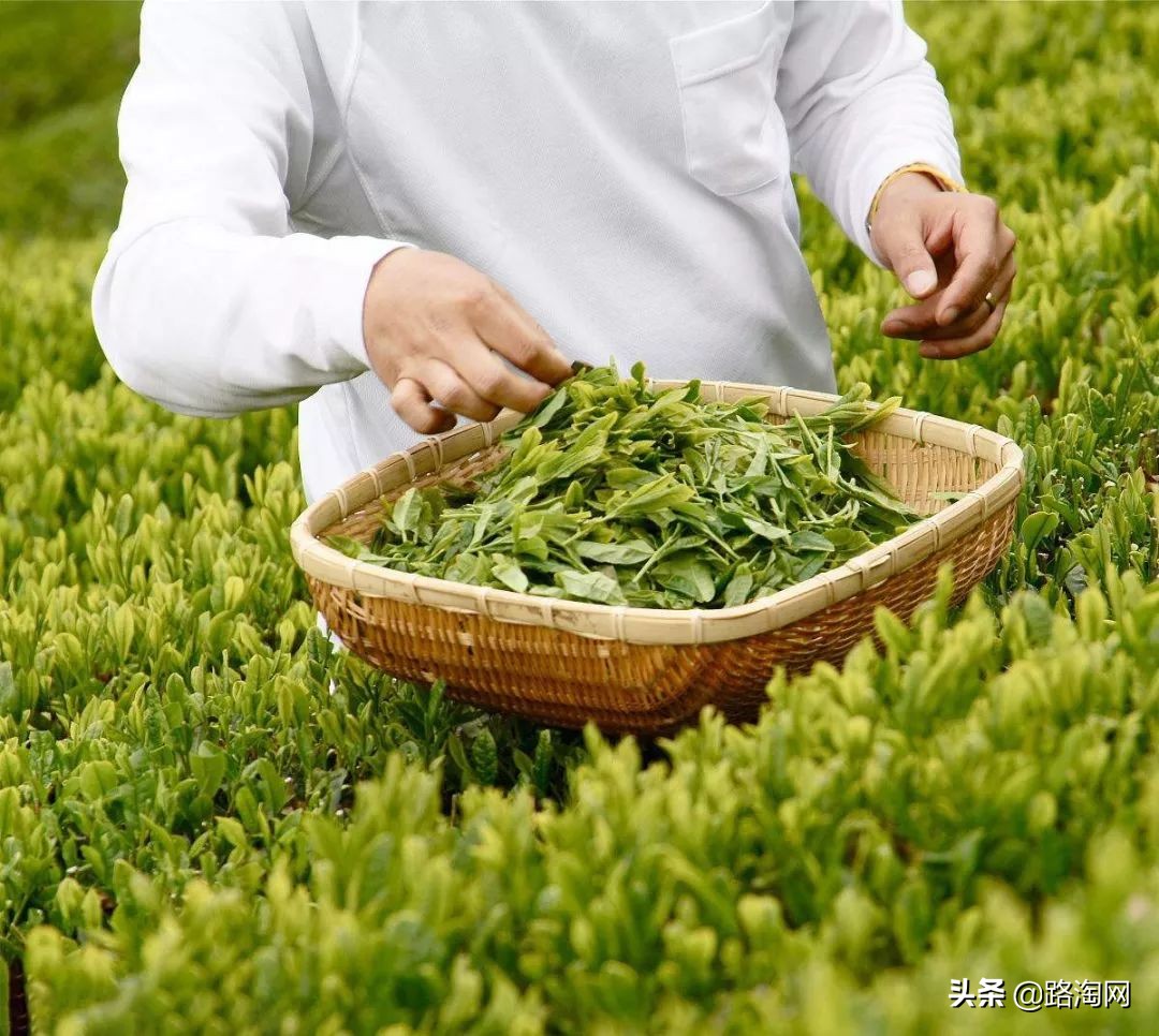 五一小长假结束再看一波各地美景,五一小长假去哪登山踏青看花好
