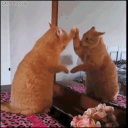 自学散打入门训练全套技巧,散打自学教程从零开始