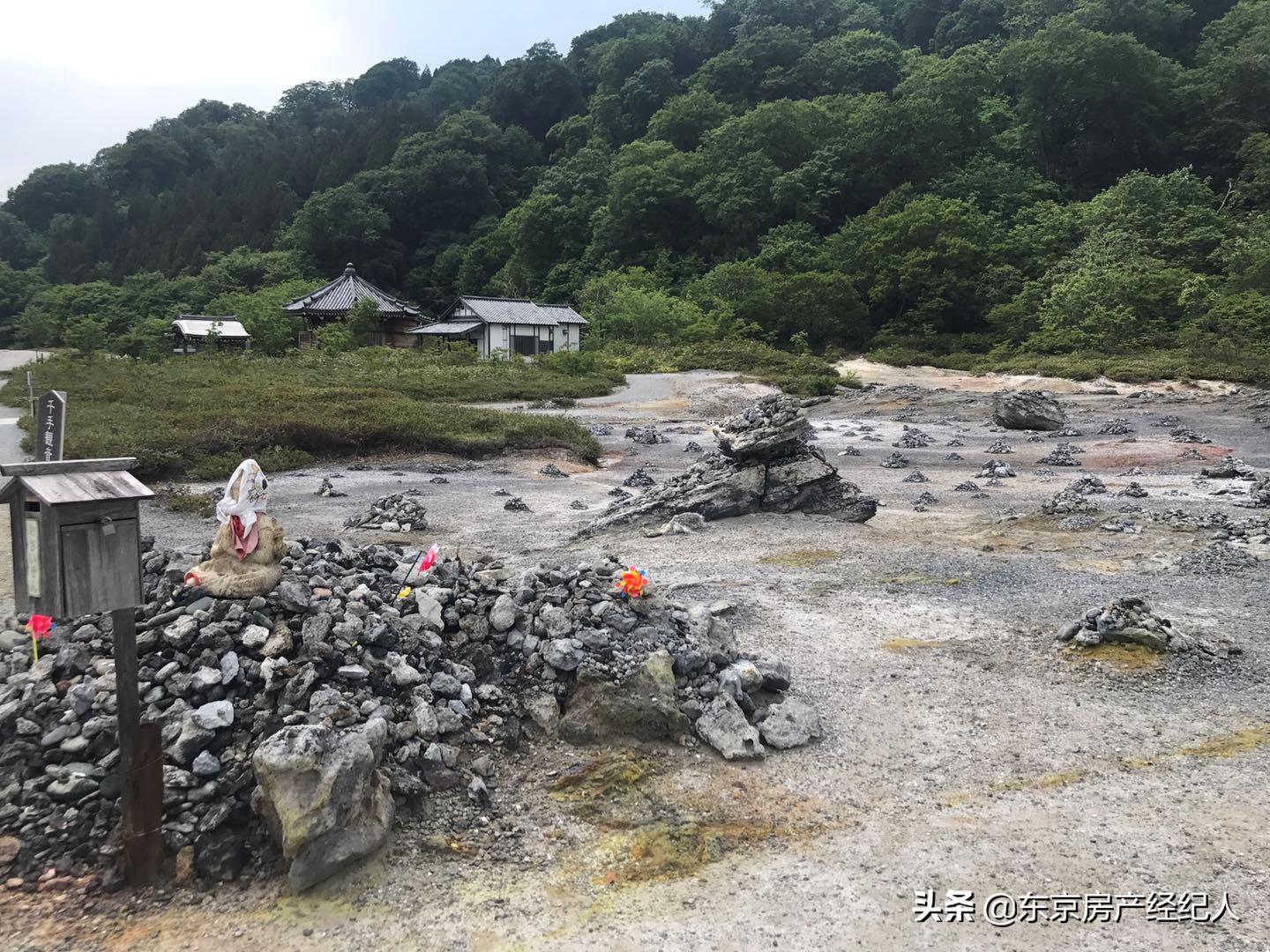 闈掓．涓ぎ瀛﹂櫌澶у,鏃ユ湰闈掓．涓ぎ瀛﹂櫌澶у