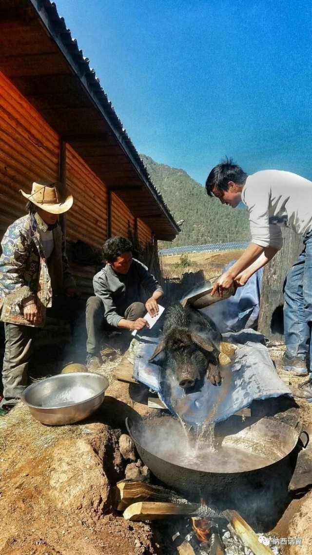 狂欢与感恩：杀年猪漫谈