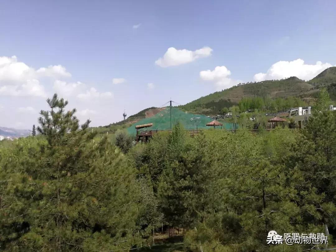 二十年春雨,春雨十年小说