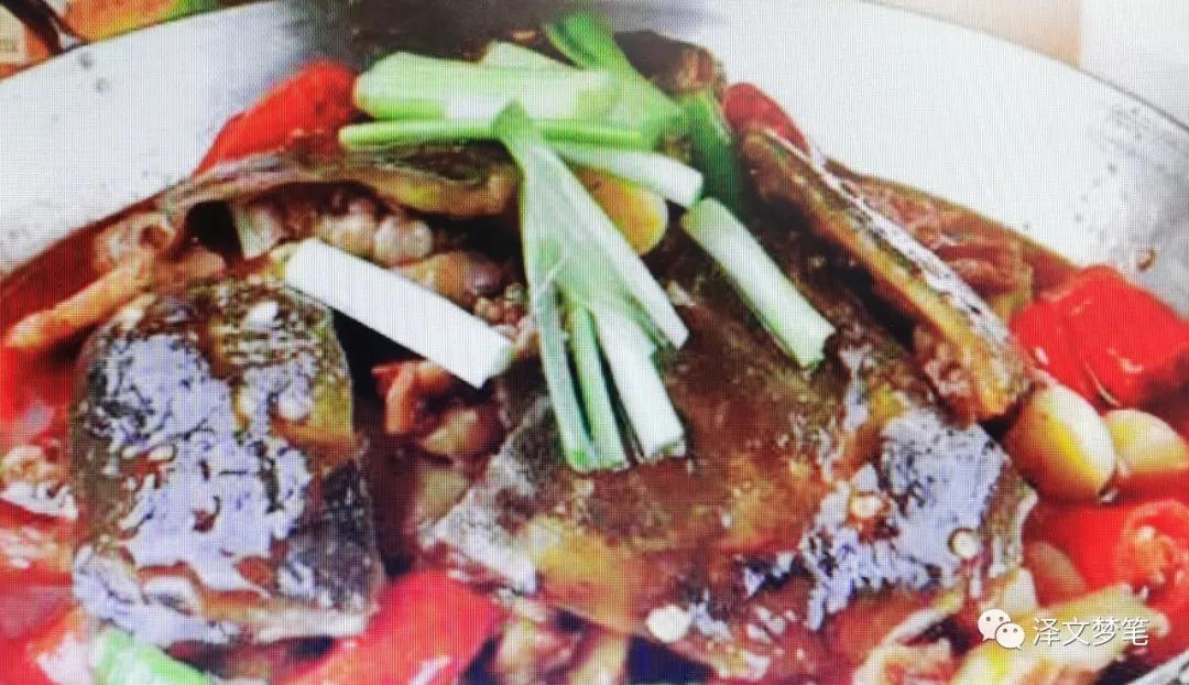 滋补珍品野生甲鱼,宝应哪里有野生甲鱼