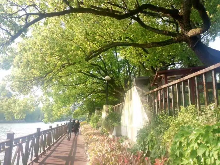 印象嘉兴,印象南湖北区