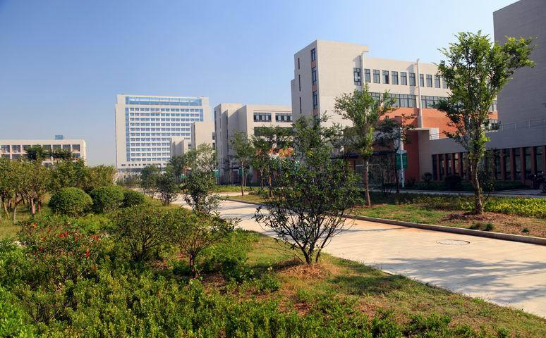 宿迁中学高考成绩2023状元,宿迁市高考文科状元