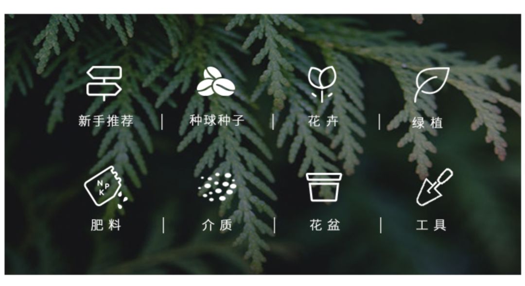 按头安利!5块钱淘宝好物,解决最难搞的收纳问题