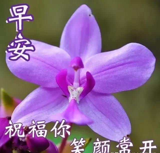 人若看开就幸福语录,人若看开就幸福