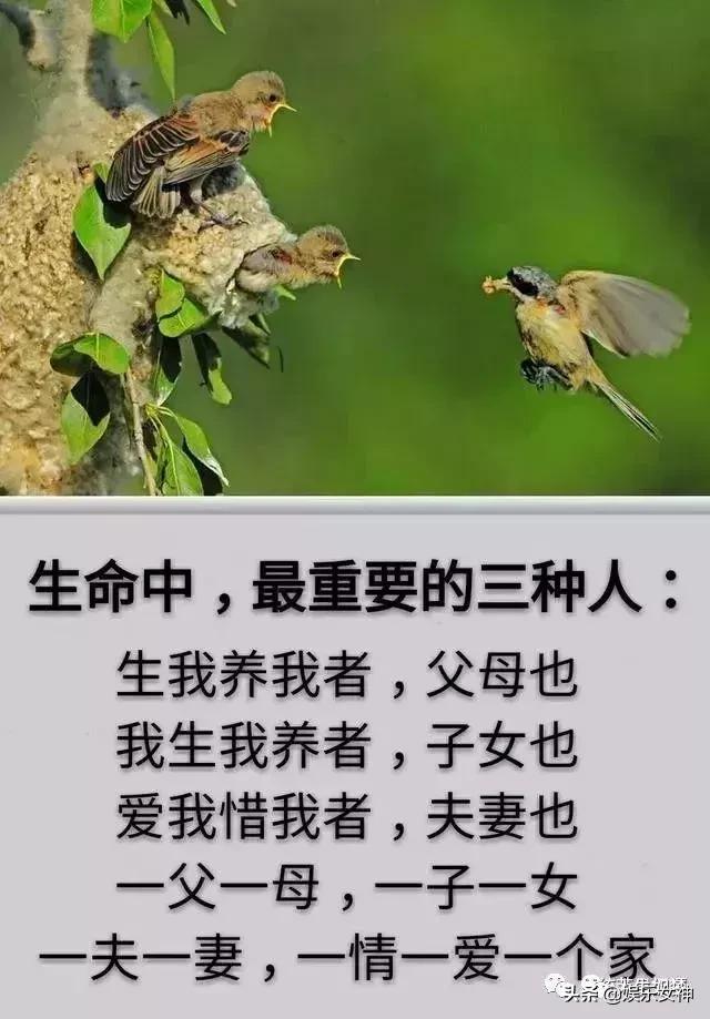 我的家庭相册文章,我的家庭相册细节