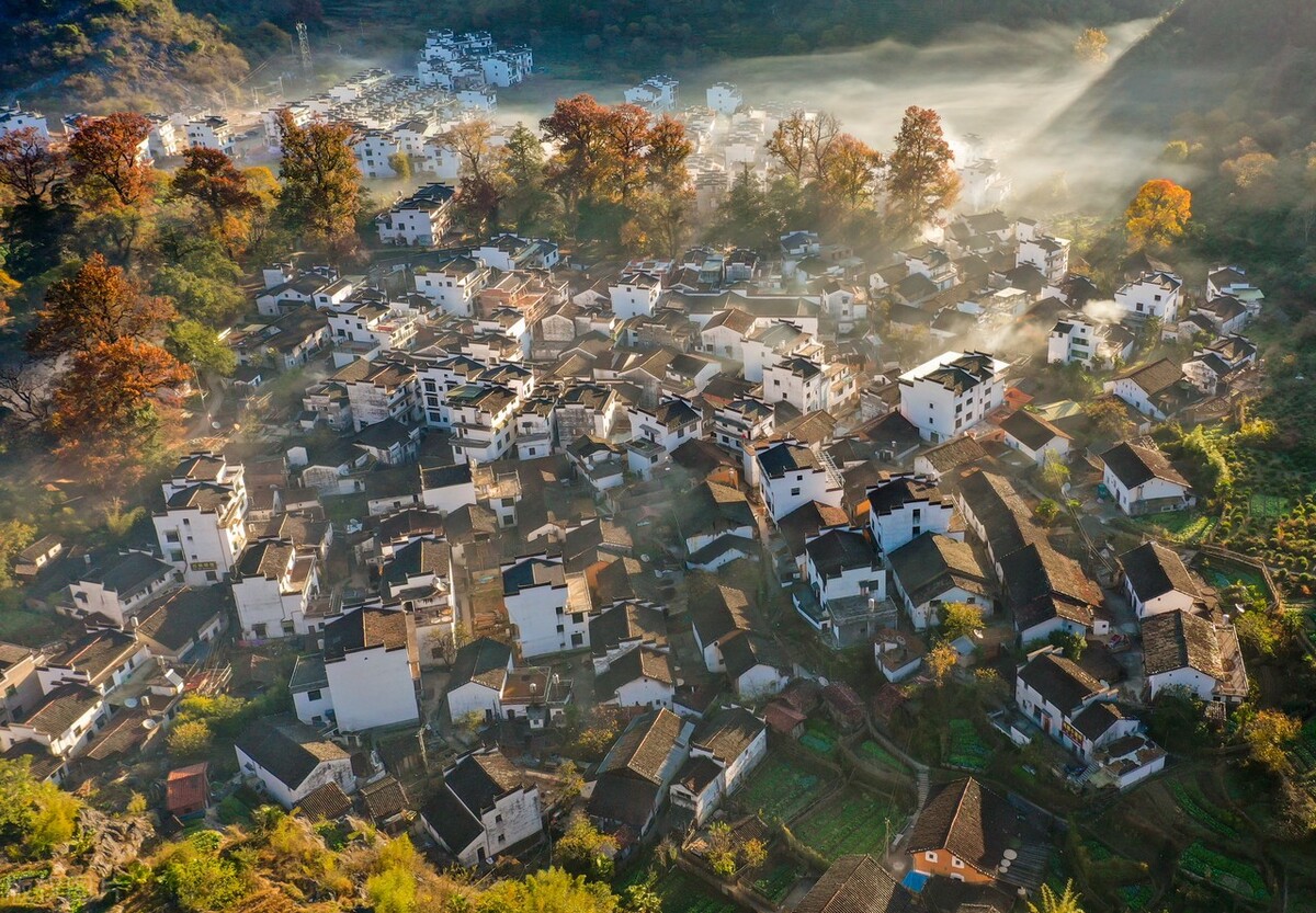 房地产策划是做什么的,房地产策划的主要职责