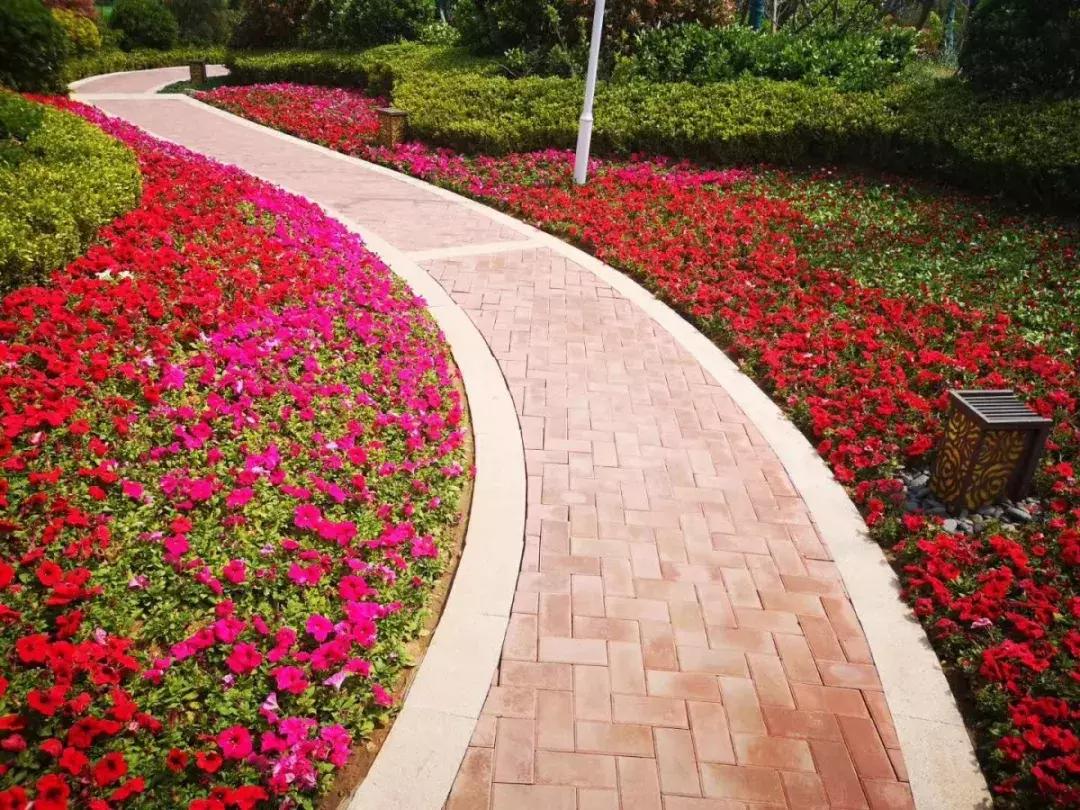 想学尤克里里要怎么跟父母说,初学尤克里里买多少价位的琴