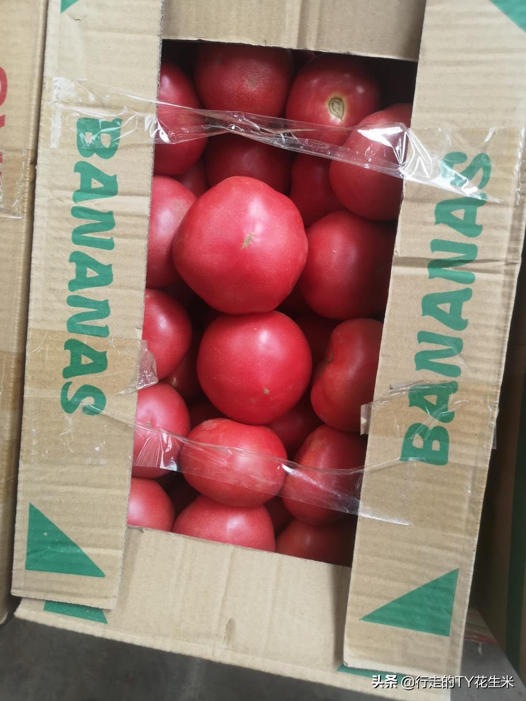 广州江南农产品批发市场5月22号部分果蔬批发价格（请关注）