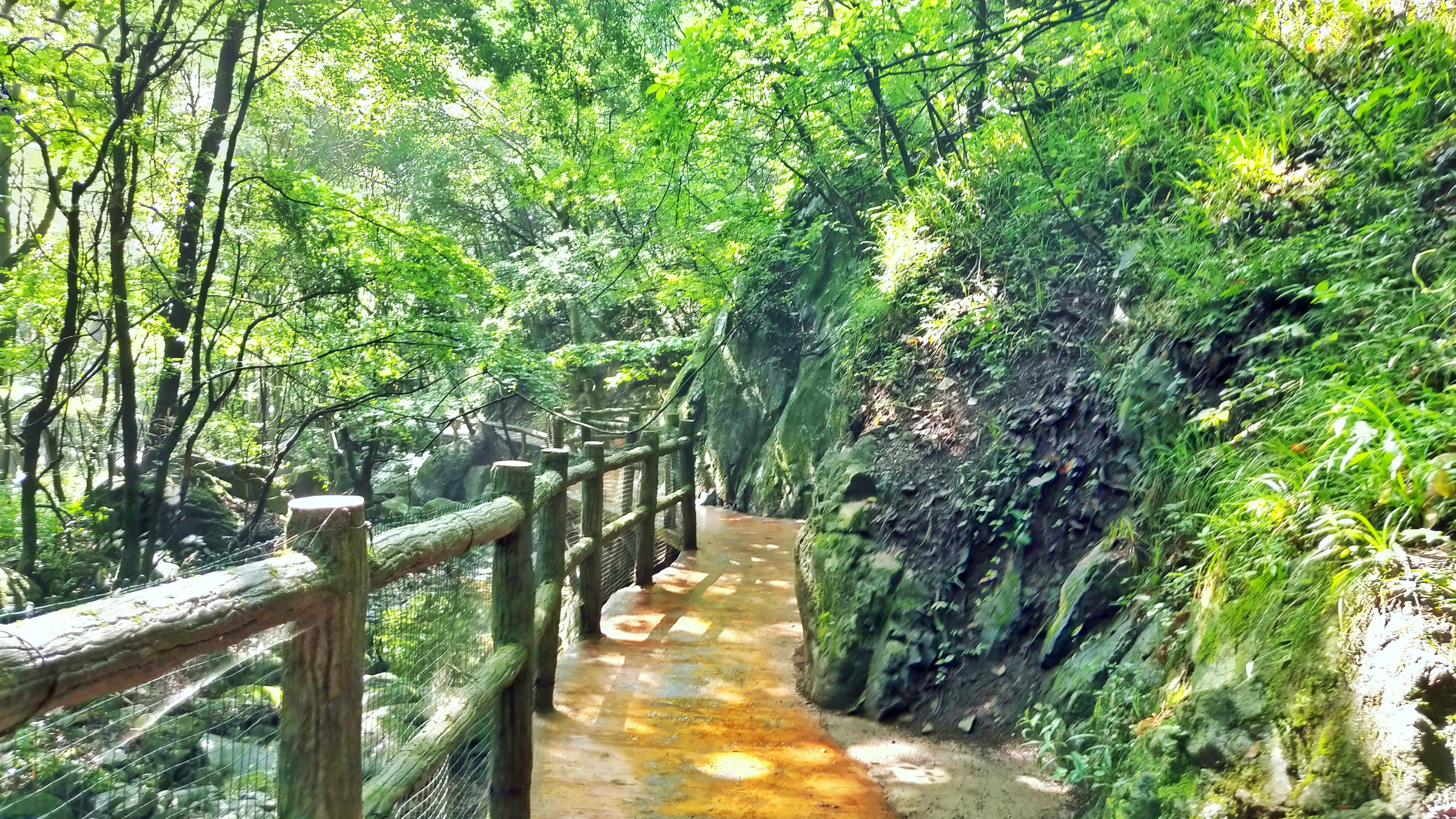 河南安逸浪漫的景点,河南爱丽丝岛风景森林小木屋