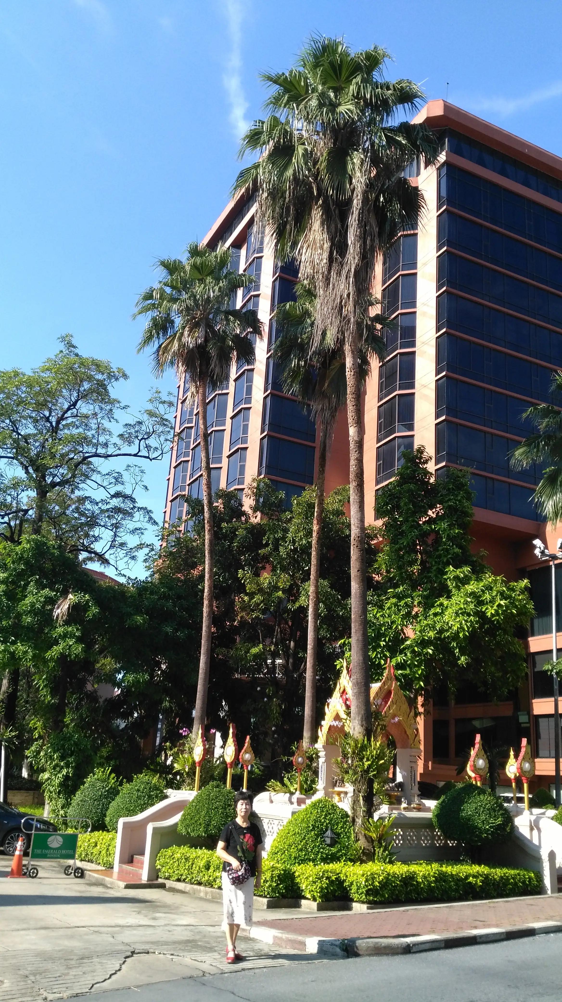 阿莲的聊天,阿莲聊短视频