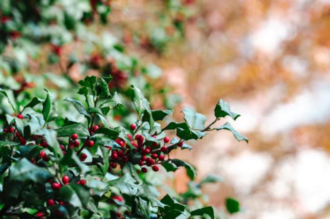 常用习语Thatsthat应该怎么翻译?那就是那?