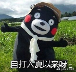 清凉好物夏日必备,清凉一夏平价好物推荐