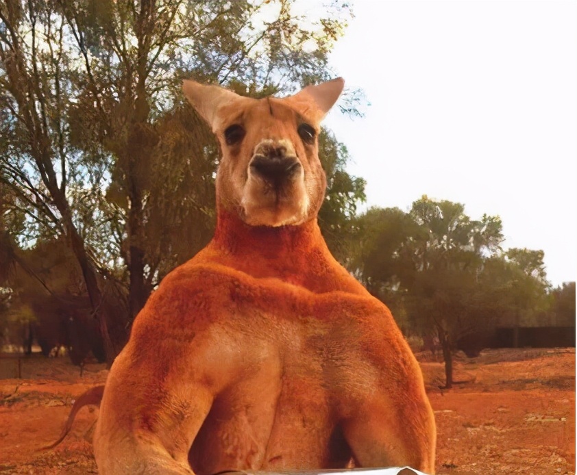 人如果没有肋骨会怎么样,人没有锁骨能活吗