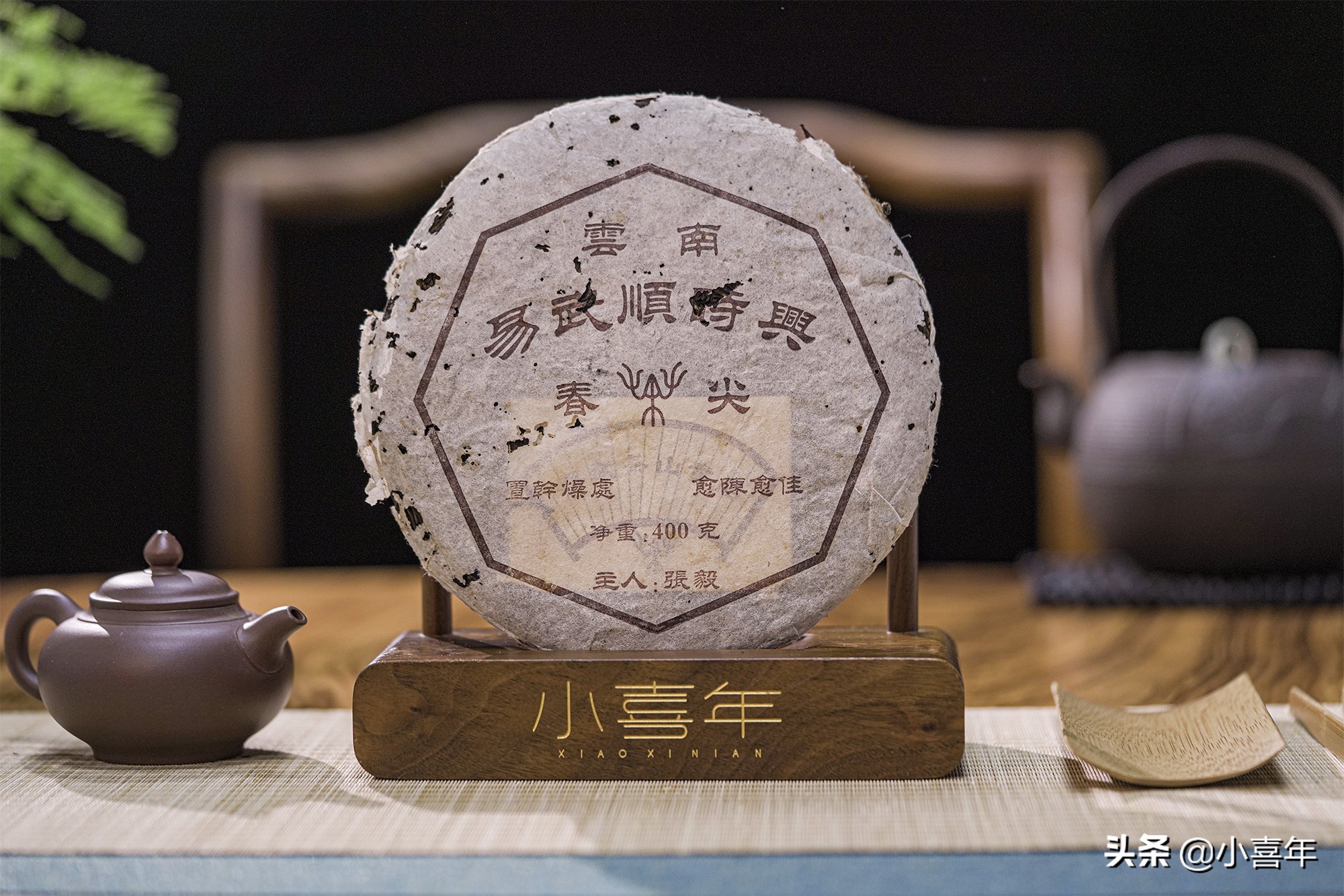 十大山头普洱茶及其特点全面解析,真正值得收藏的山头普洱茶是哪种