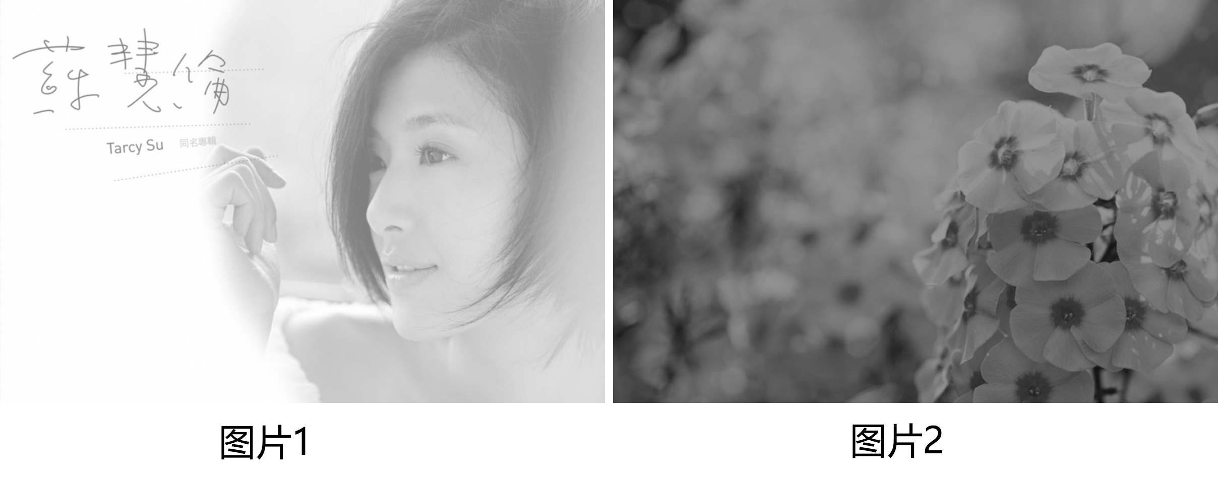 黑色背景图隐藏图片怎么显示出来,隐藏背景图形前后对比