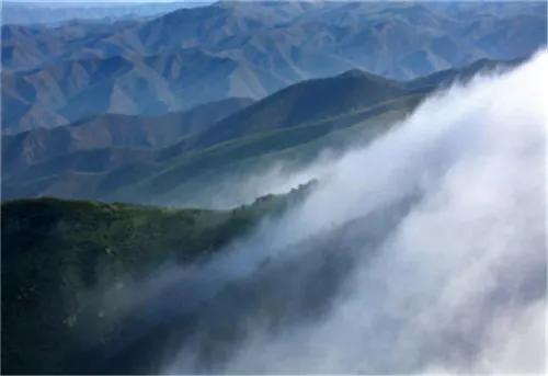 王丽霞为武川莜面代言,呼和浩特市委书记为武川莜面代言