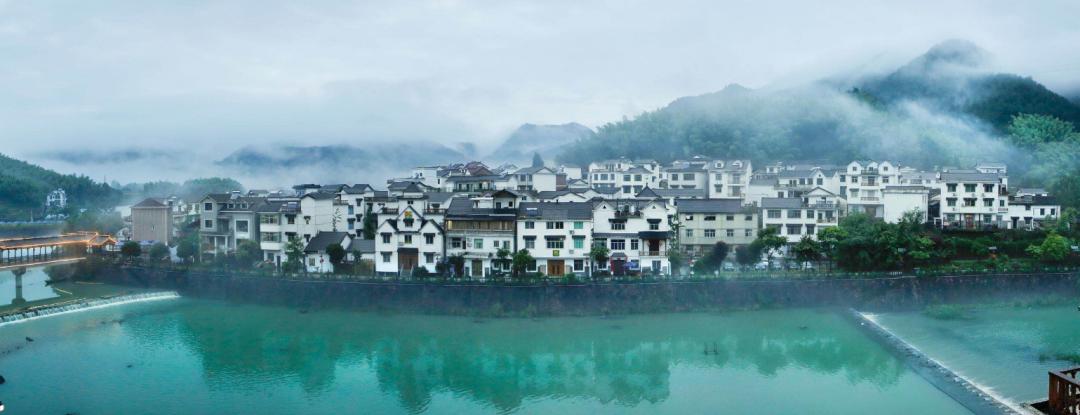 免费森林公园门票优惠活动,森林康养旅游胜地有哪些