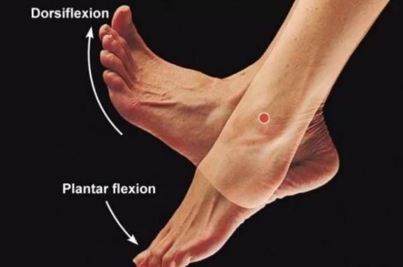 深蹲时臀部眨眼是什么样子的,深蹲时出现骨盆眨眼该怎么办