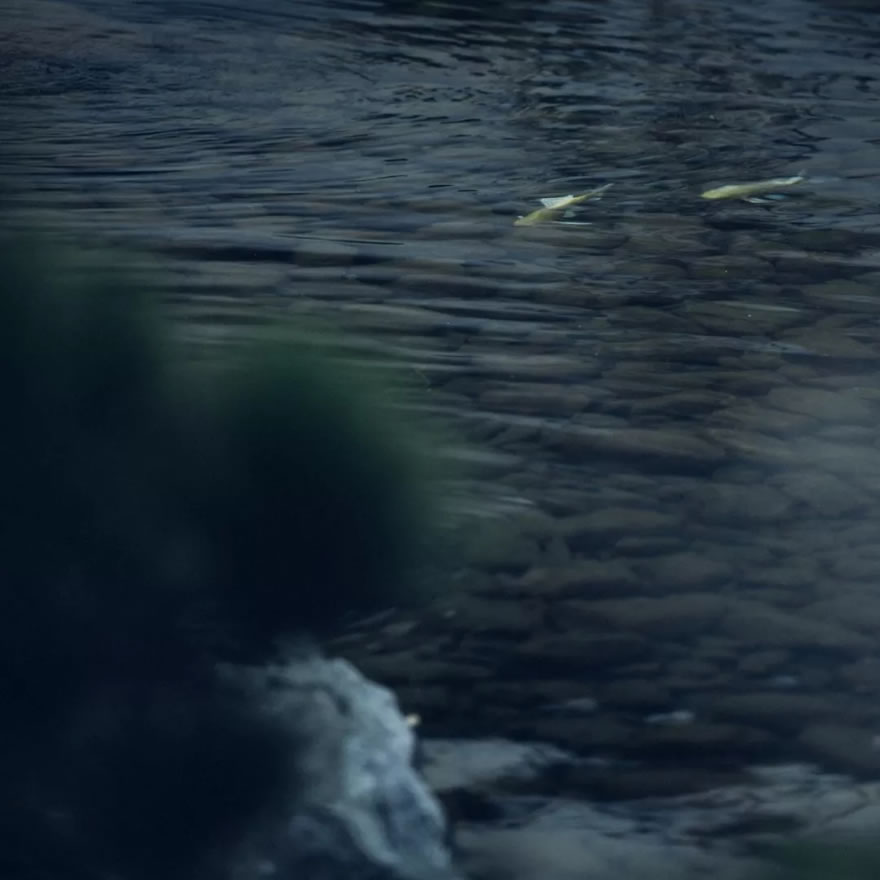 苏州山水樾澜庭是宋式风格吗,苏州山水樾澜庭别墅