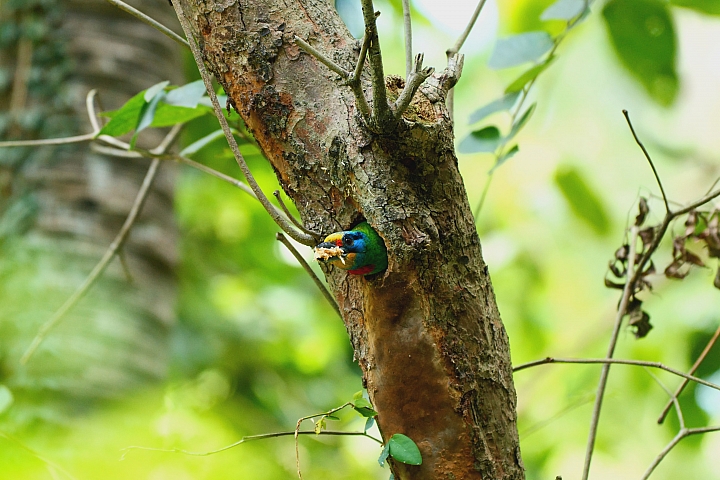松下lumixs5评测令人难以置信,松下lumixs1r配什么镜头最好