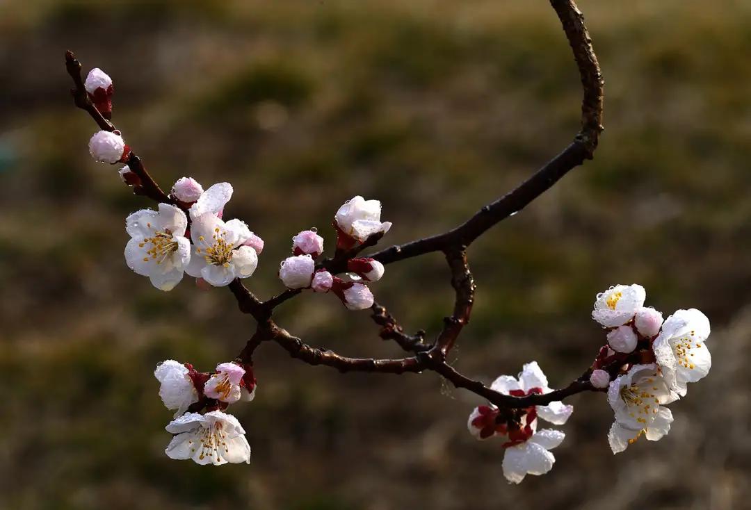 关于宋朝的哲理诗有哪些,宋朝有意境的经典诗句