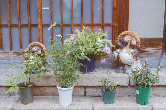 伏见稻荷大社怎么去清水寺,伏见稻荷大社到清水寺远吗