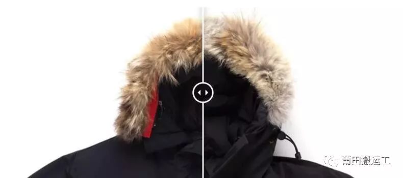 迷彩加拿大鹅多少钱一件,真正的加拿大鹅怎么样