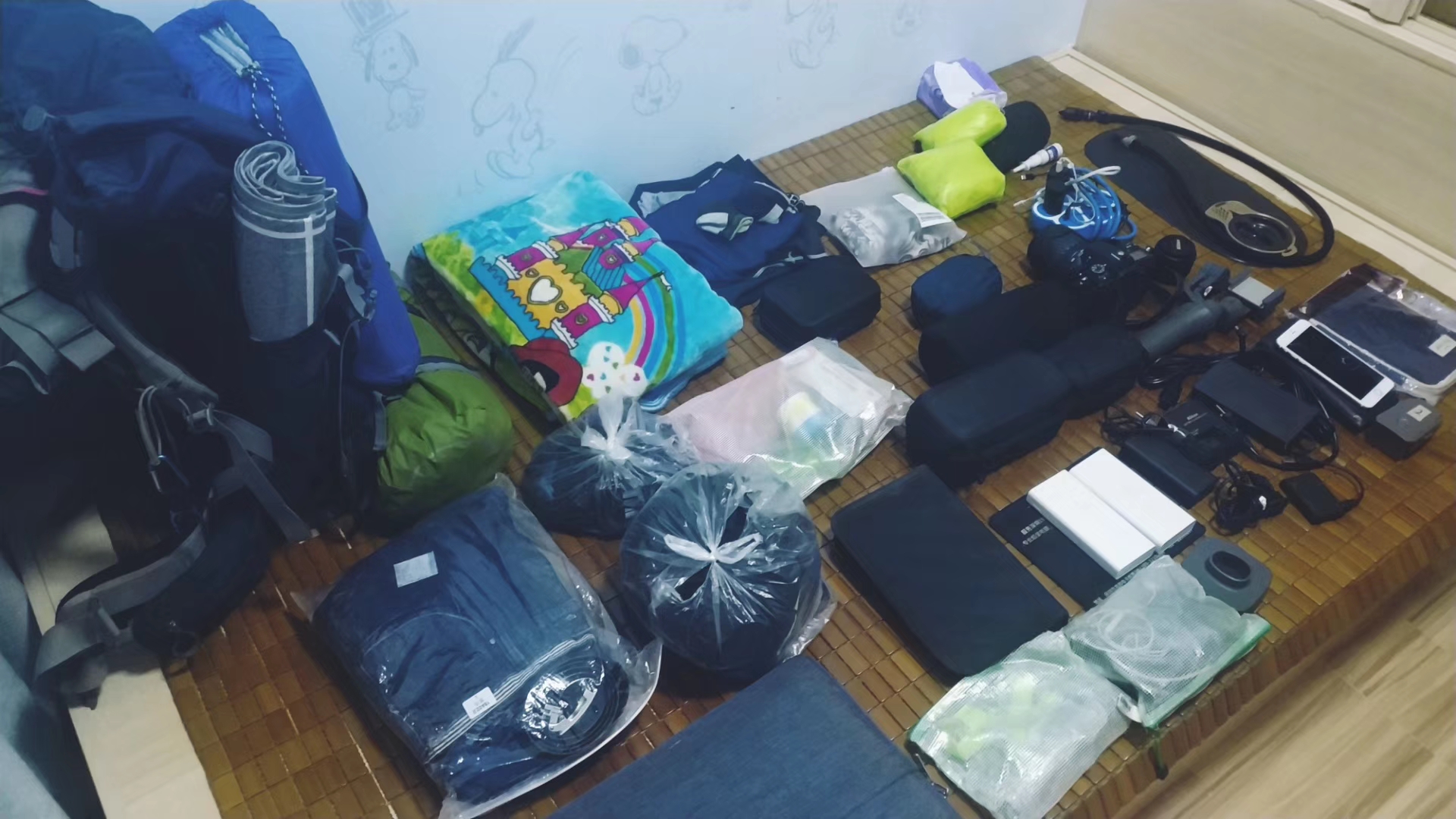 丧尸真来了该怎么办,丧尸来了该怎么办