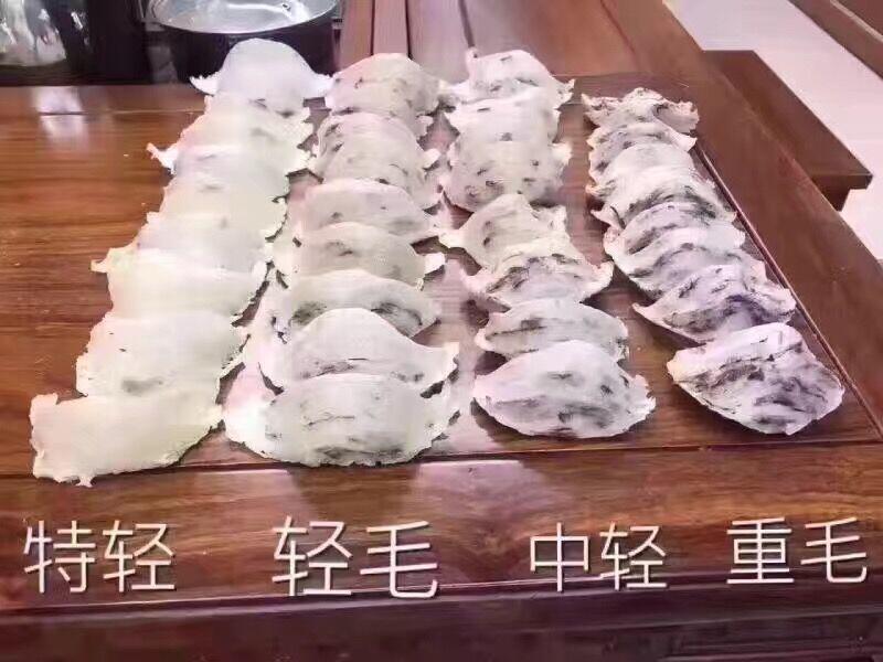 印尼燕窝跟马来燕窝哪个好,sohealthy燕窝是印尼燕窝吗