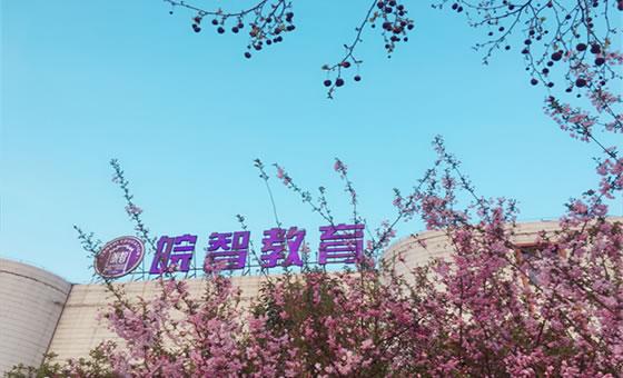 合肥高复学校有多厉害,在合肥皖智高复学校复读感受