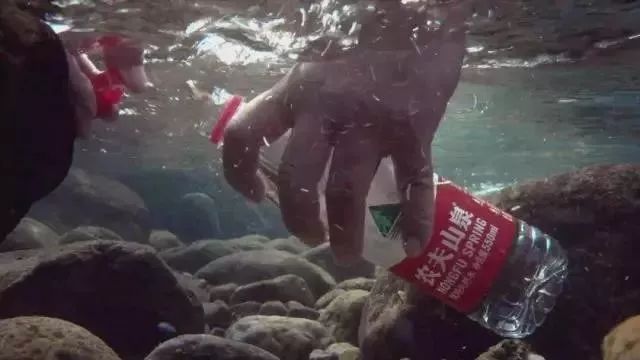 中国饮料的发展趋势,中国饮料发展现状