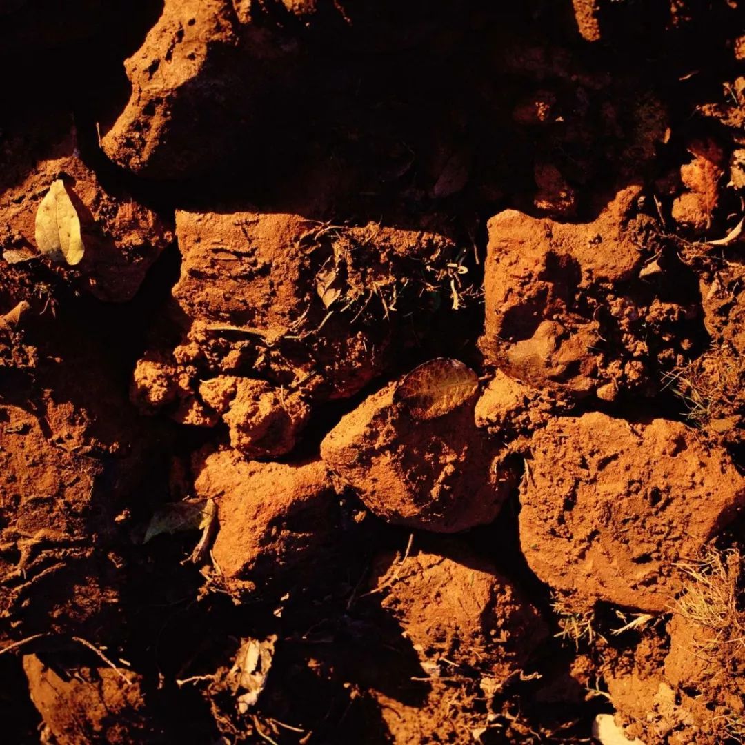 品牌衬衫为什么那么贵,为什么衬衫卖5000