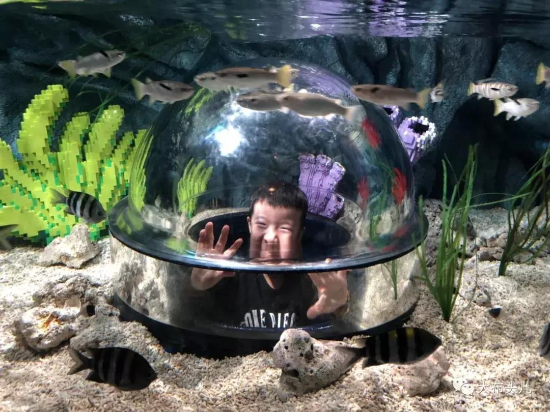 布头儿旅行｜日本名古屋X白川乡自由行（上）解锁乐高乐园